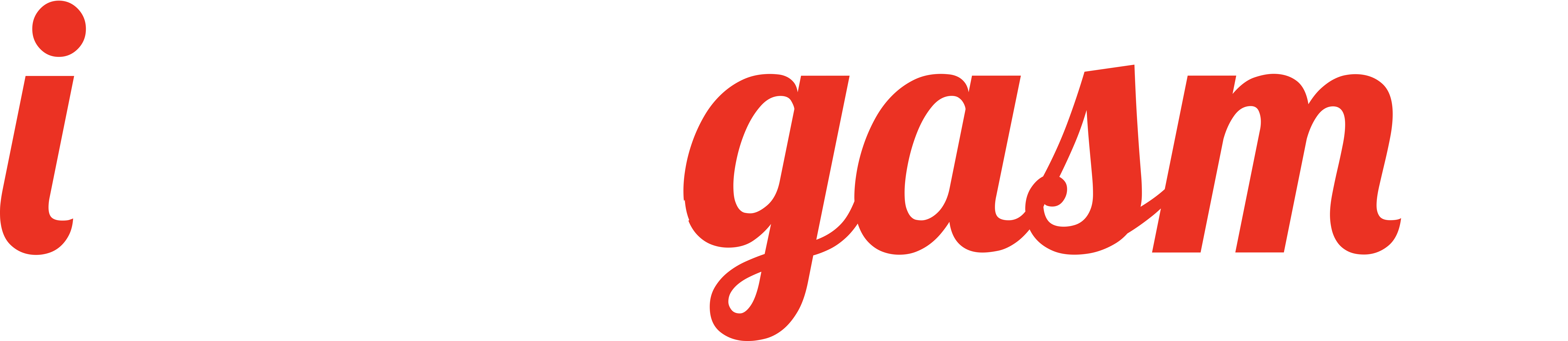Idealgasm+ Logo